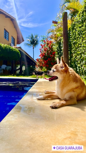 Casa Pet Friendly